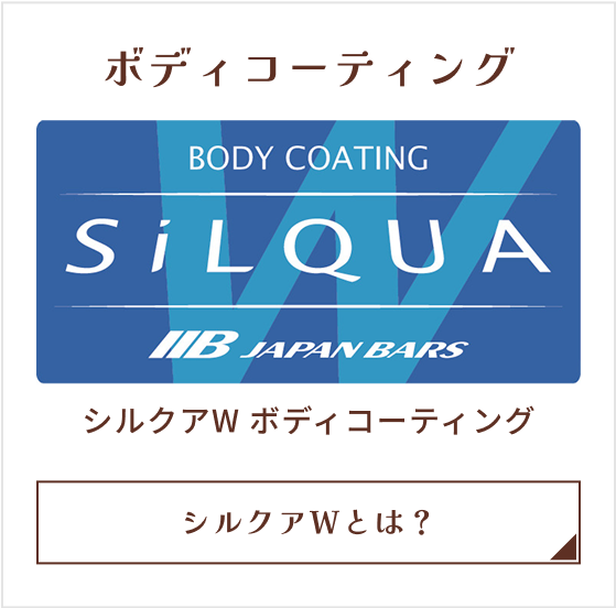 ボディコーティング